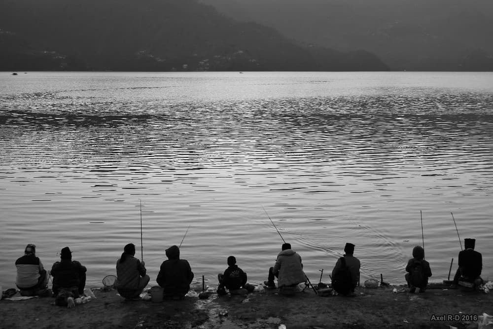 Fishing
